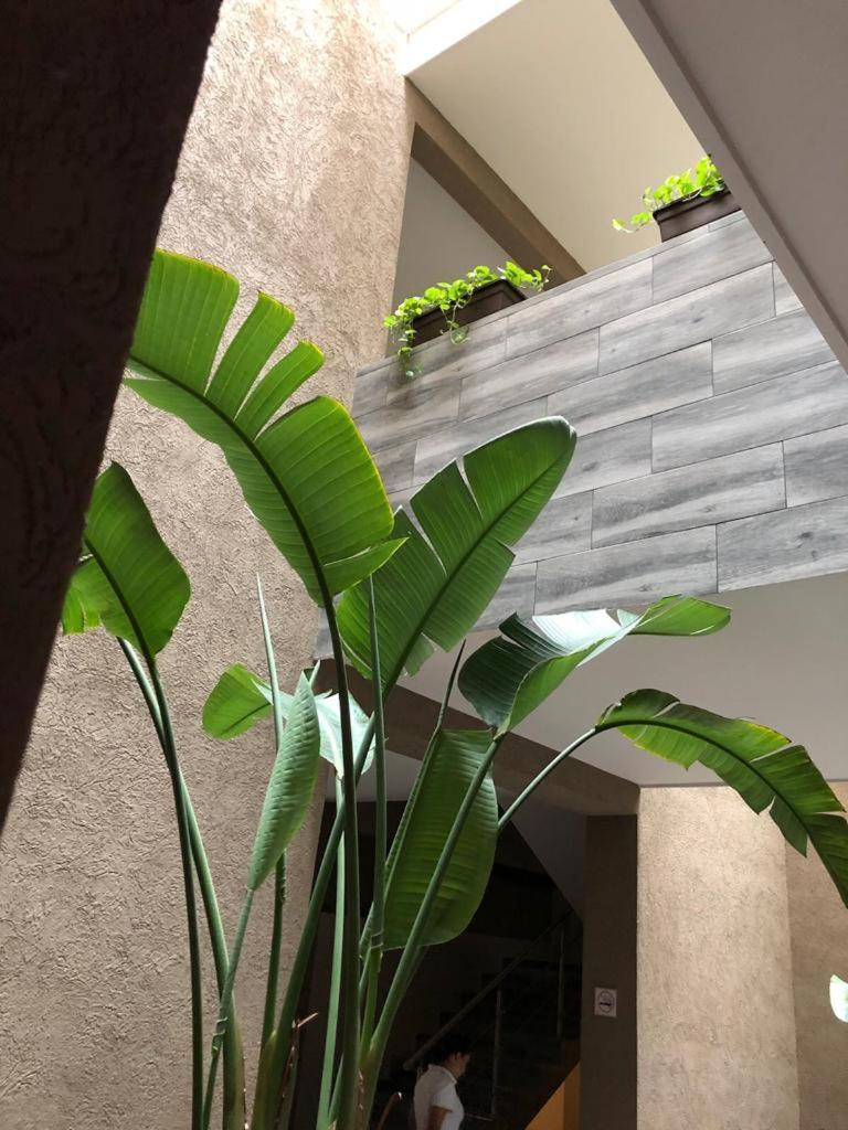 Hotel Plaza Arteaga Monterrey Kültér fotó